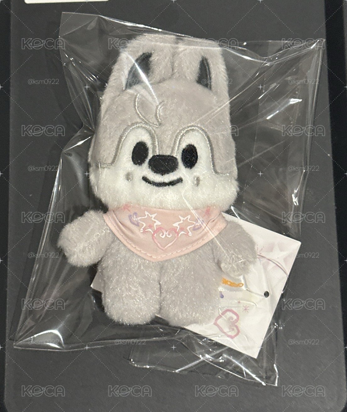 5th FM 娃娃玩偶 口水巾娃 燦🐺