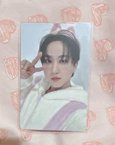 塔店 靜岡限定菲🐣（價錢含綁）