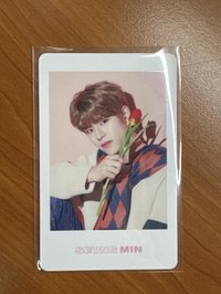 district9 日周拍立得