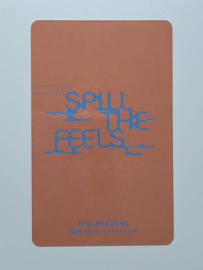 迷12 大阪 WVS場限 碩