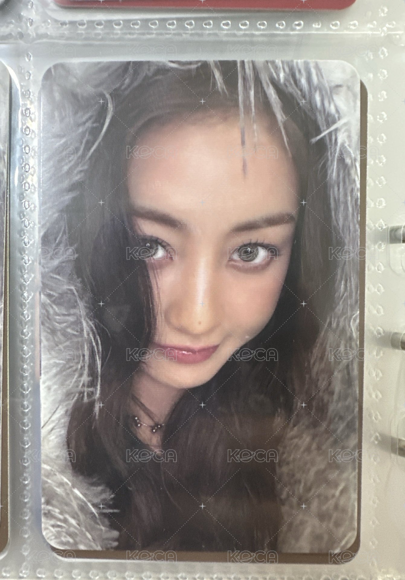 志效