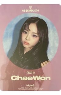 24大隊 明信片 Visual Card (A Ver.)