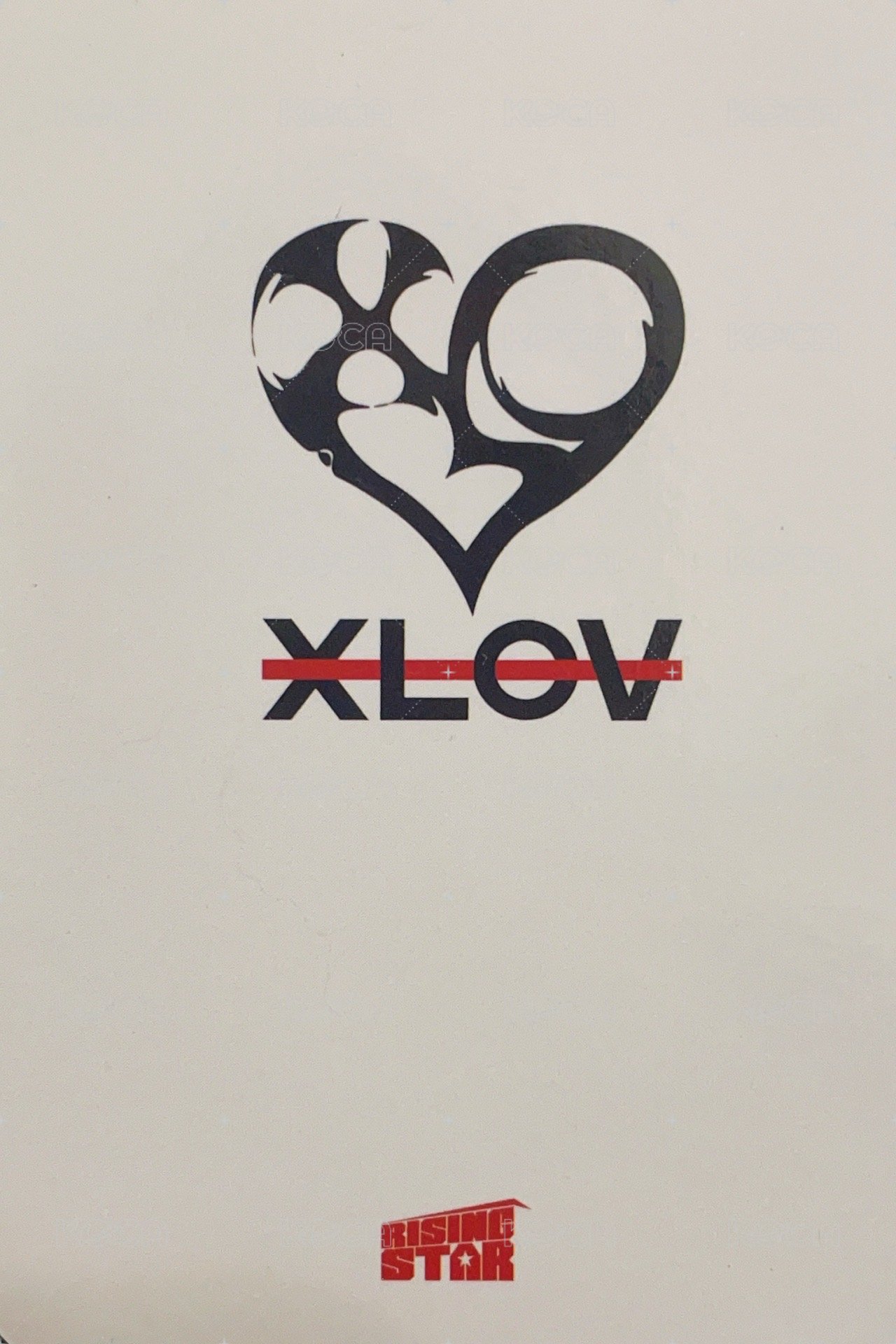 I’mma Be Rising-star 線下3.0 簽售卡  背面