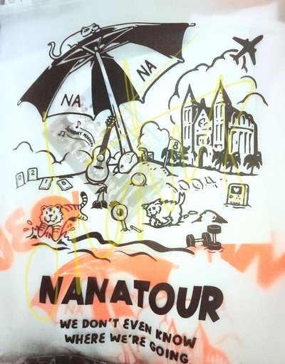 [現貨僅1件]Seventeen NaNa Tour T-SHIRT 淨漢 JEONGHAN 衣服
