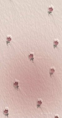 zinn(3/28~3/29暫停出貨）