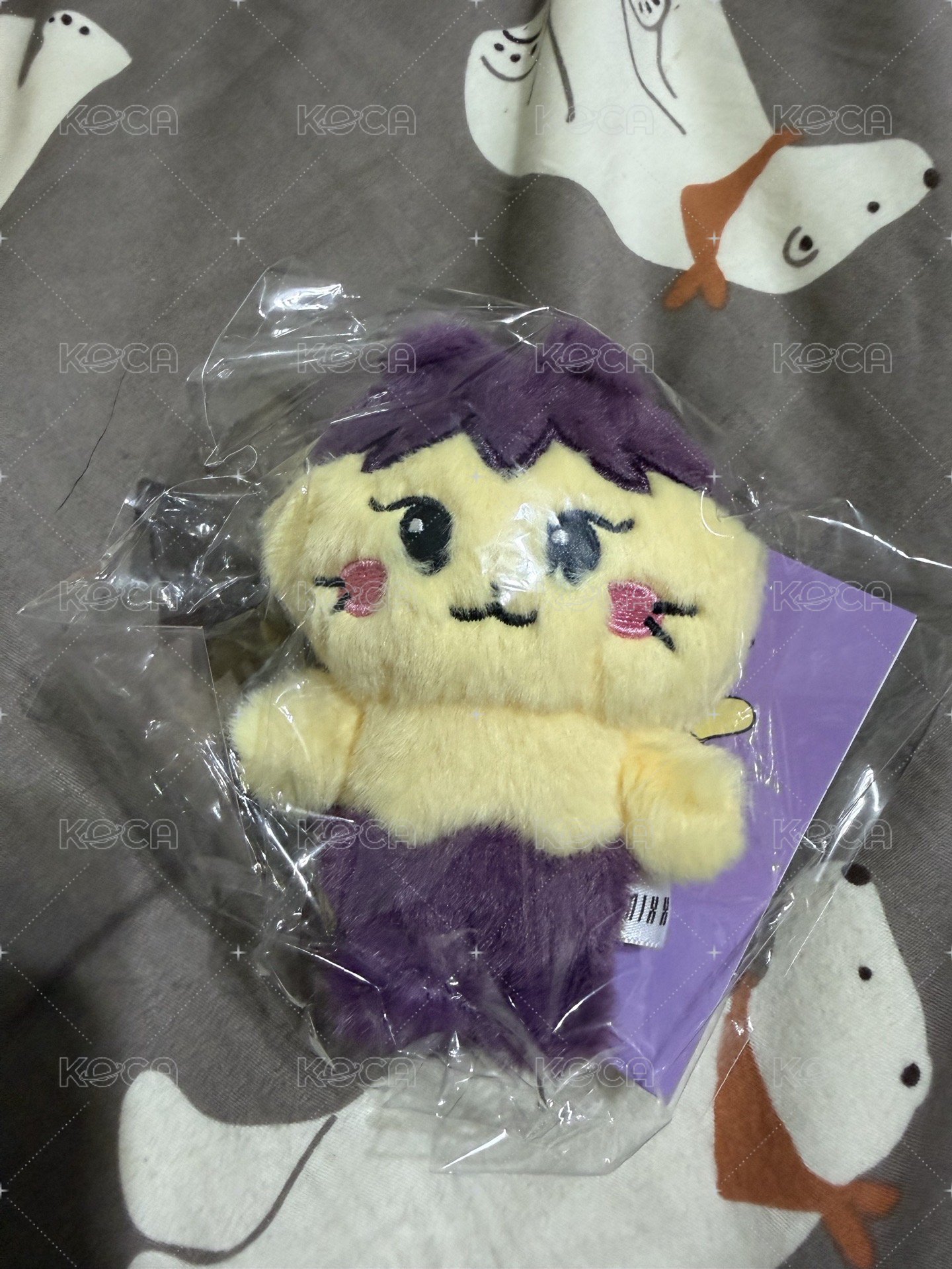 圭娃