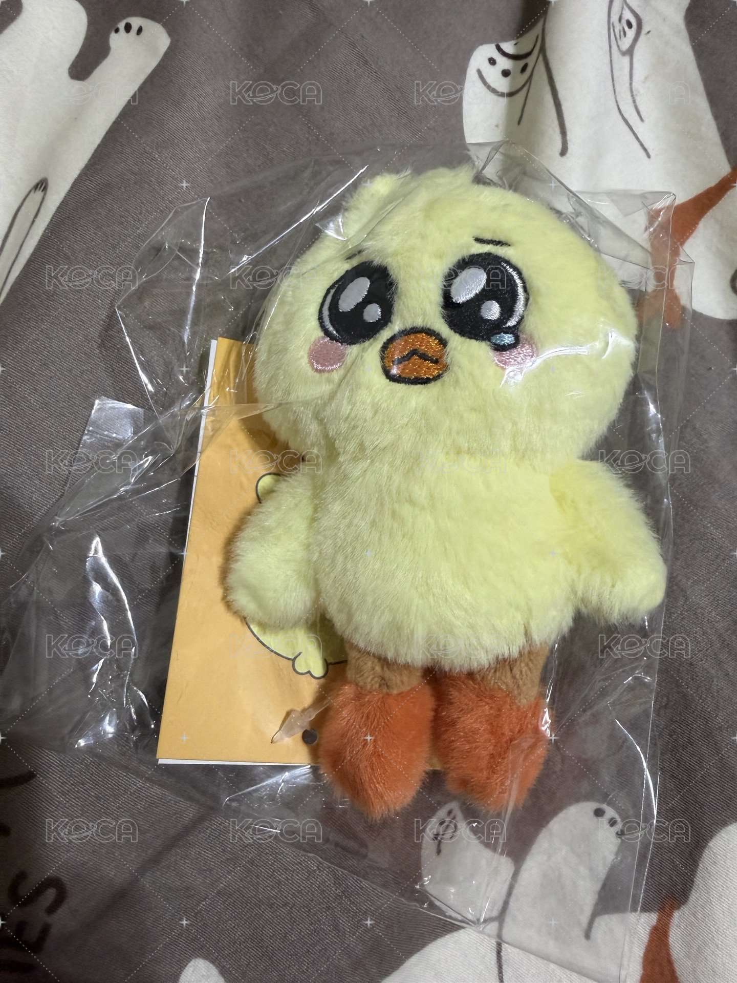 裴娃
