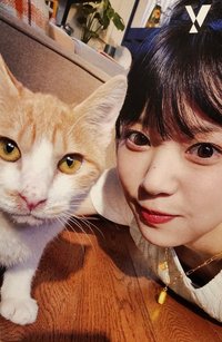 KT Y 明信片 