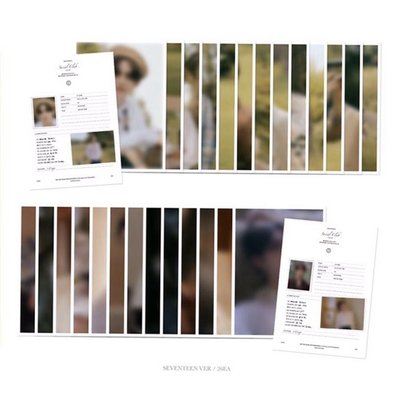 SOCIAL CLUB 明信片 檔案卡 大卡