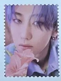 23’年曆 wvs 特典卡 郵票