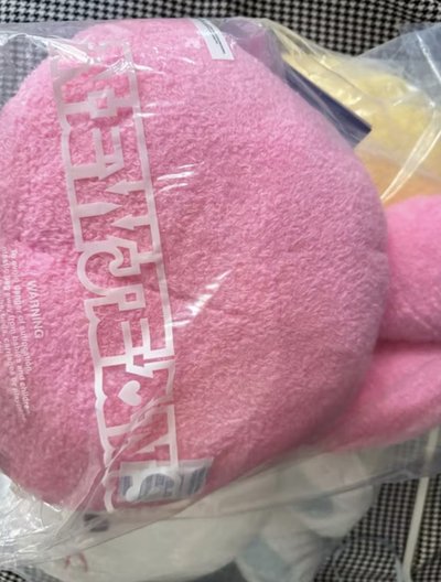 全新未拆 newjeans linefriends 聯名抱枕 Hanni minji haerin 