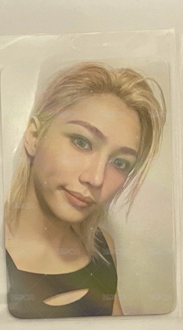 菲ms特典