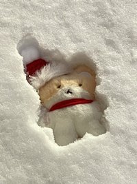 月底沒錢了 需要回血