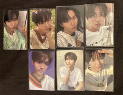 Jaehee🌳steady/songbird/poppop/color/2025年曆後續小卡