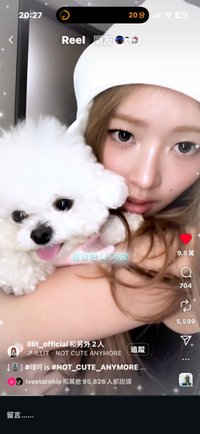 快來買走我的漂亮紙片