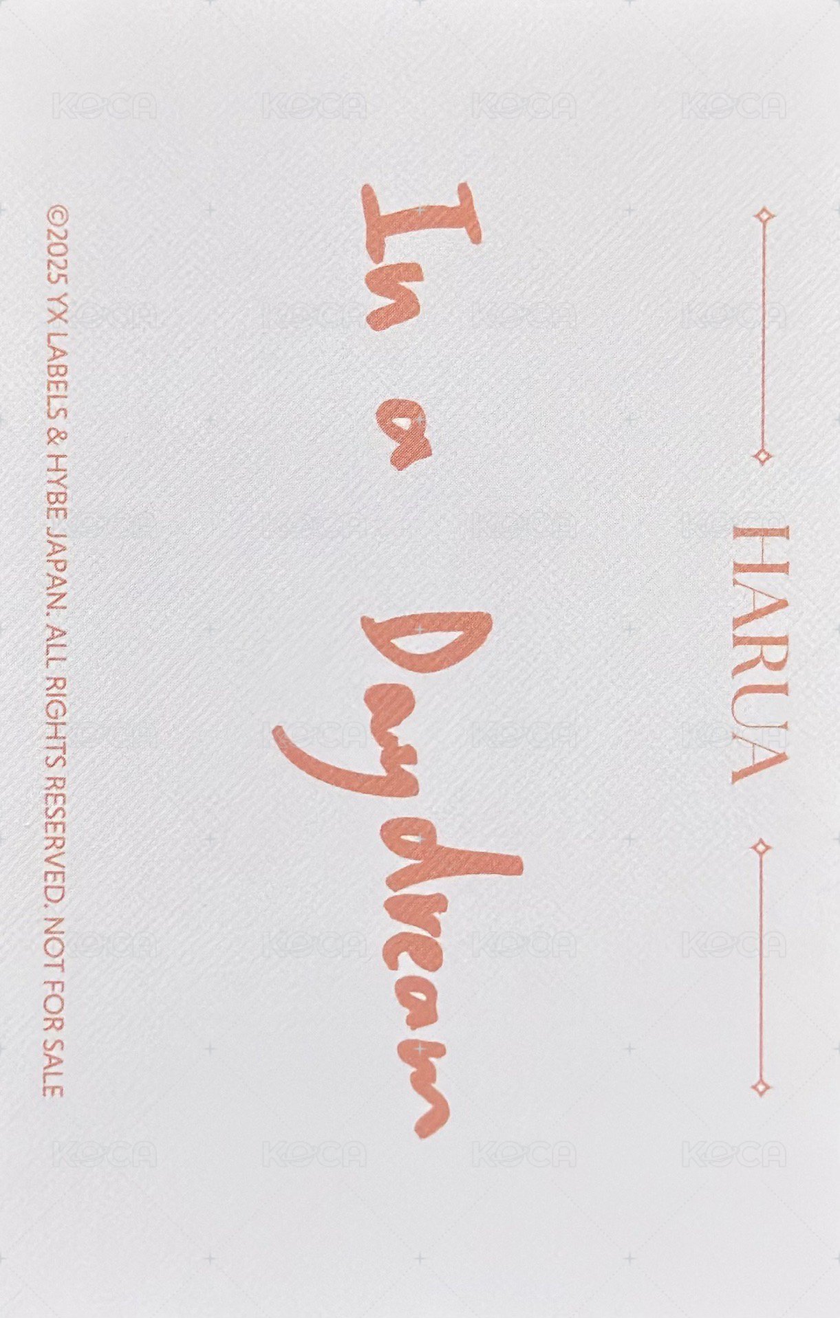 2026年曆 A版 年曆卡  背面