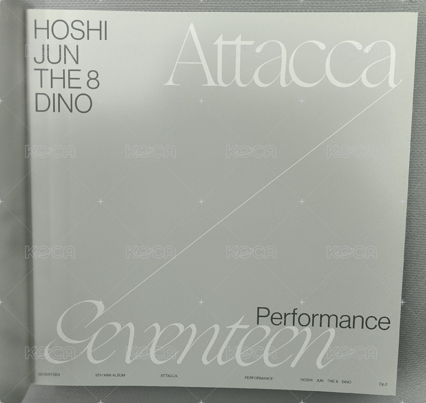 op.2婆隊