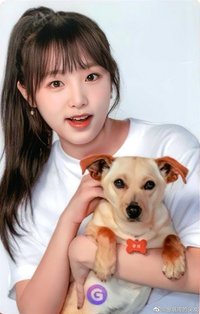 Gmarket 聯名 代言卡 新G