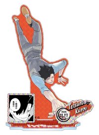 JS生日 2024 立牌 