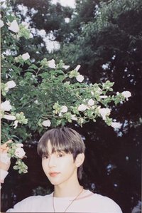 RIIZING EP flim版 明信片 