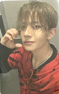 WTL FINAL wvs 入場卡 / 場限卡 