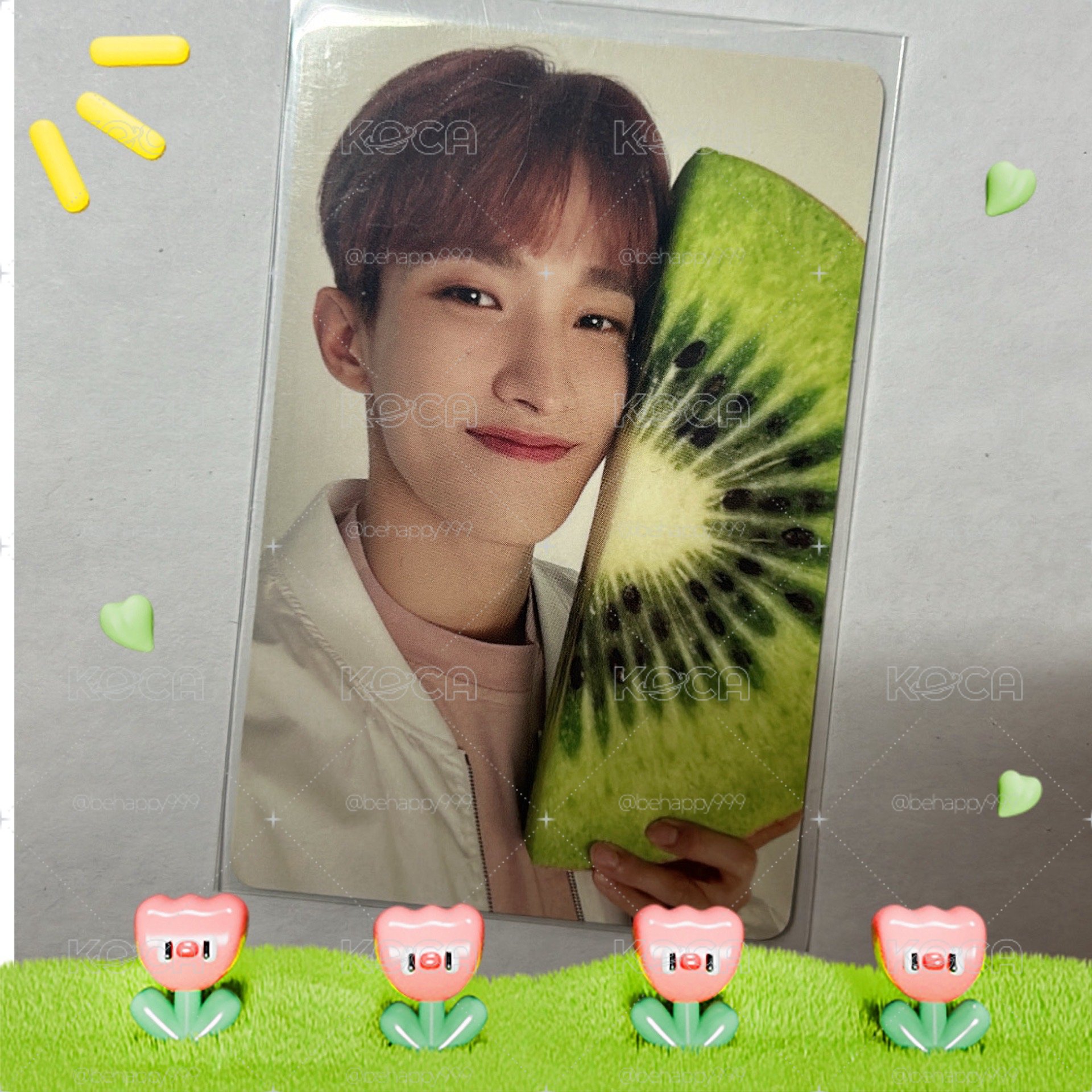 🥝戀愛維他命C🥝 DK 日專 ALWAYS YOURS 專卡
