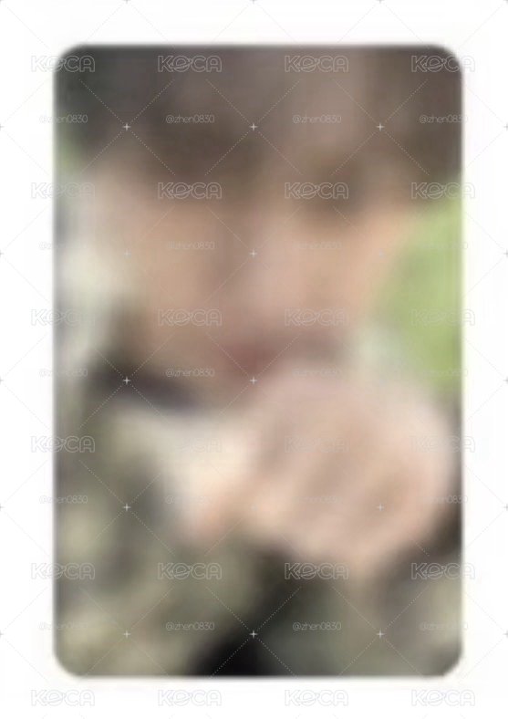 小豆丁奎