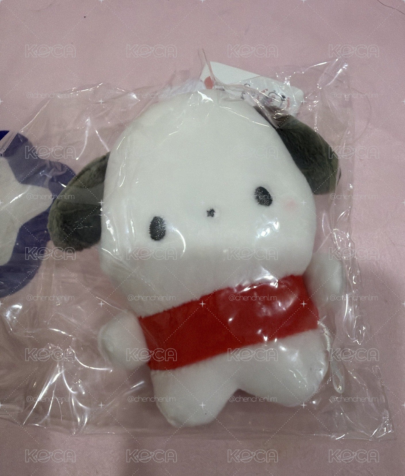 豆豆眼帕恰狗