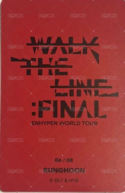 WTL FINAL wvs 隨機卡 訓06/08 官拍卡 背面