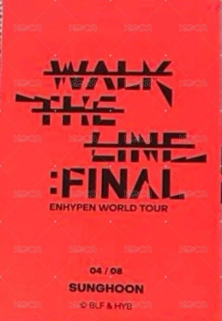 WTL FINAL wvs 隨機卡 訓04/08 官拍卡 背面