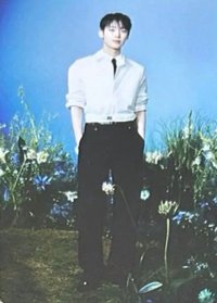 WTL FINAL wvs 隨機卡 禹05/08 官拍卡