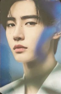 WTL FINAL wvs 隨機卡 訓07/08 官拍卡