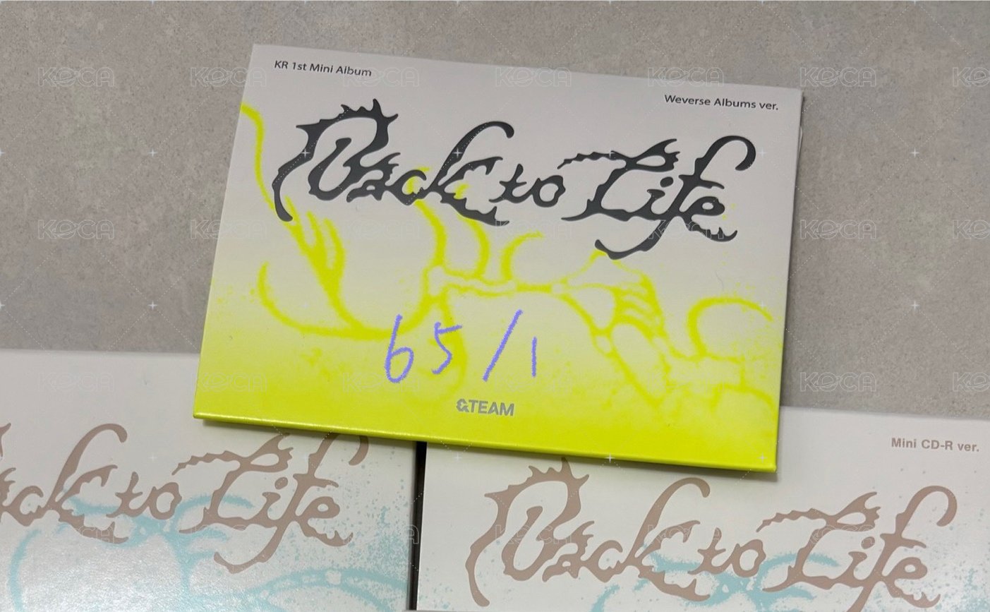 wvs album ver.