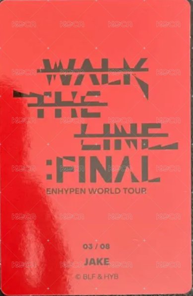 WTL FINAL wvs 隨機卡 倫03/08 官拍卡 背面