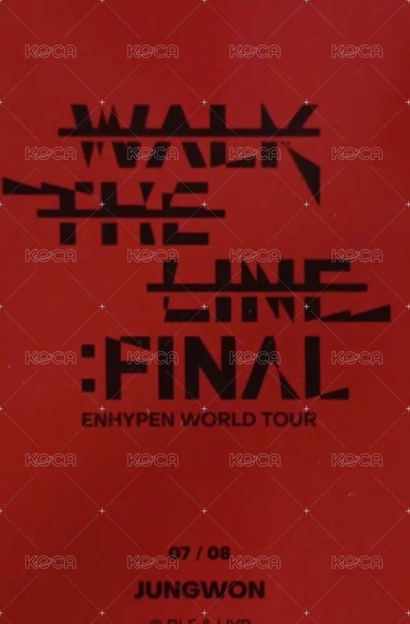 WTL FINAL wvs 隨機卡 元07/08 官拍卡 背面