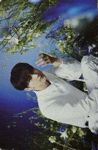 WTL FINAL wvs 隨機卡 元02/08 官拍卡