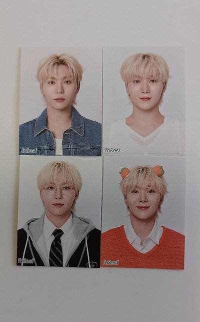 寛代言forest證件照