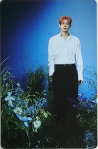 WTL FINAL wvs 隨機卡 羲05/08 官拍卡