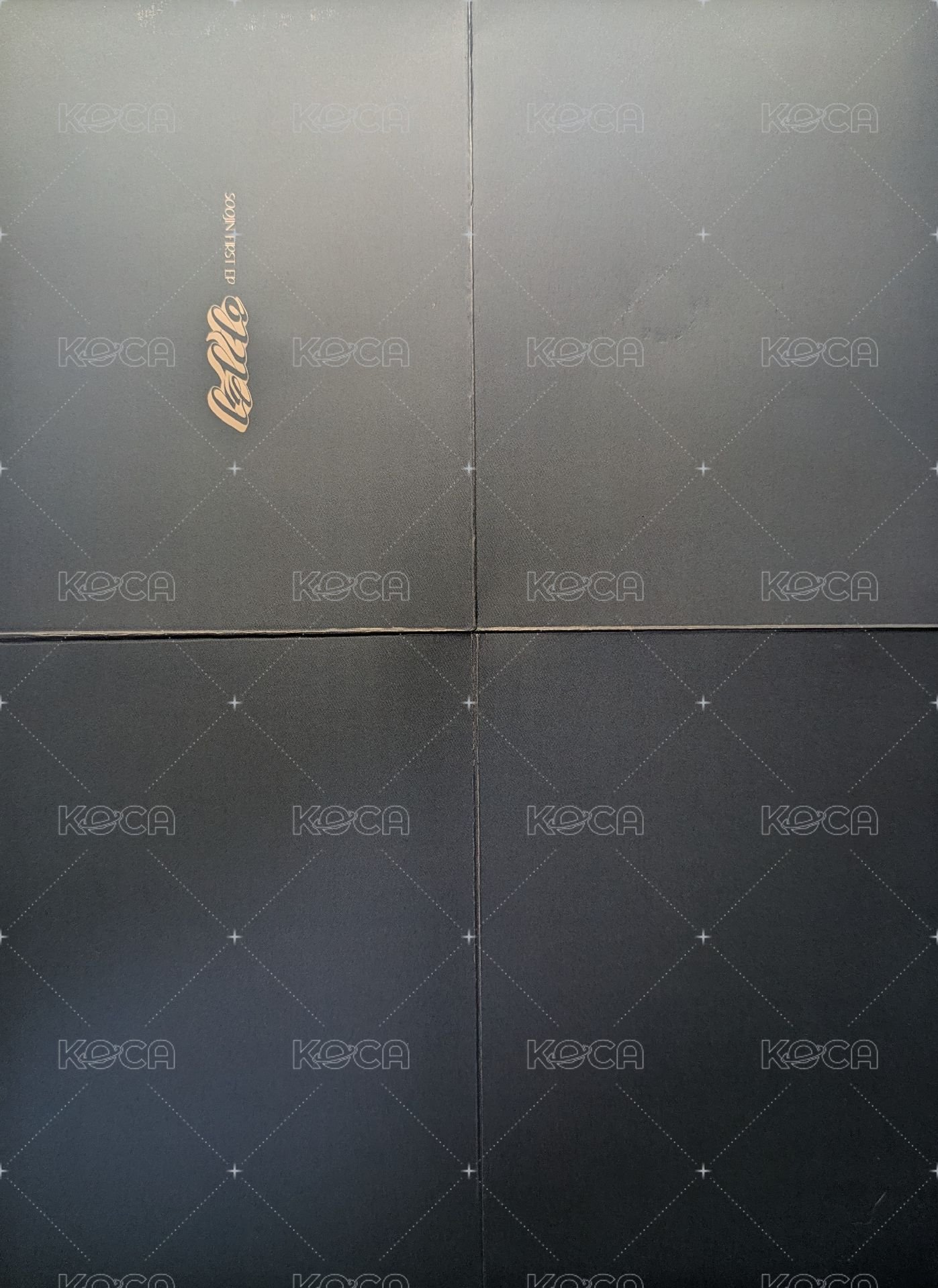 AGASSY JC藍版 海報  背面