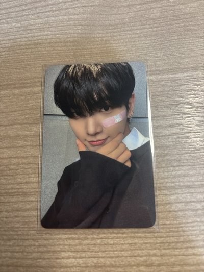 The action 明宰鉉 everline 特典