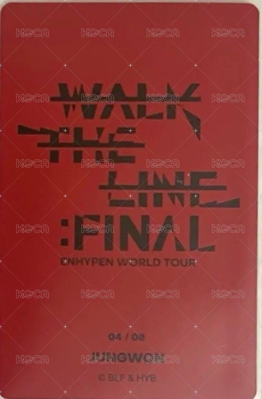 WTL FINAL wvs 隨機卡 元04/08 官拍卡 背面