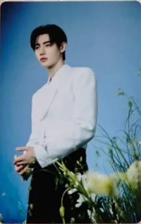 WTL FINAL wvs 隨機卡 訓04/08 官拍卡