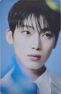 WTL FINAL wvs 隨機卡 禹07/08