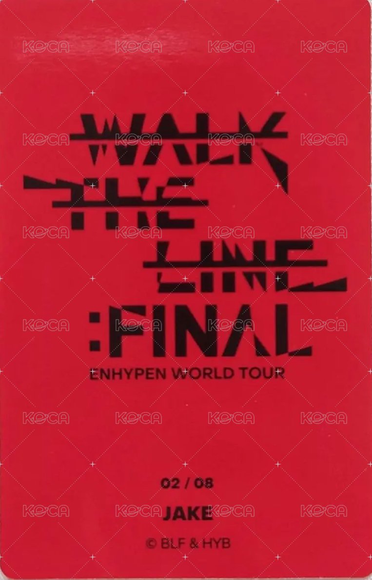 WTL FINAL wvs 隨機卡 倫02/08 官拍卡 背面