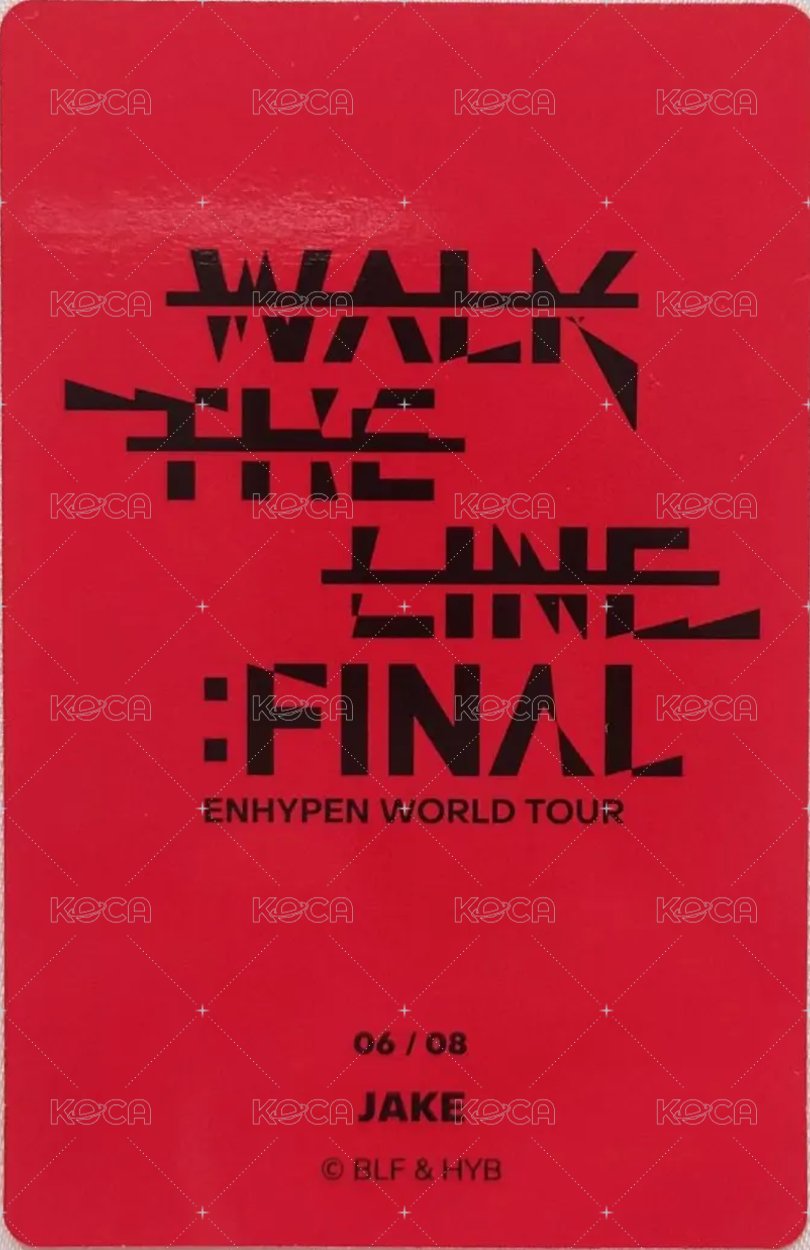 WTL FINAL 隨機卡 倫06/08 背面