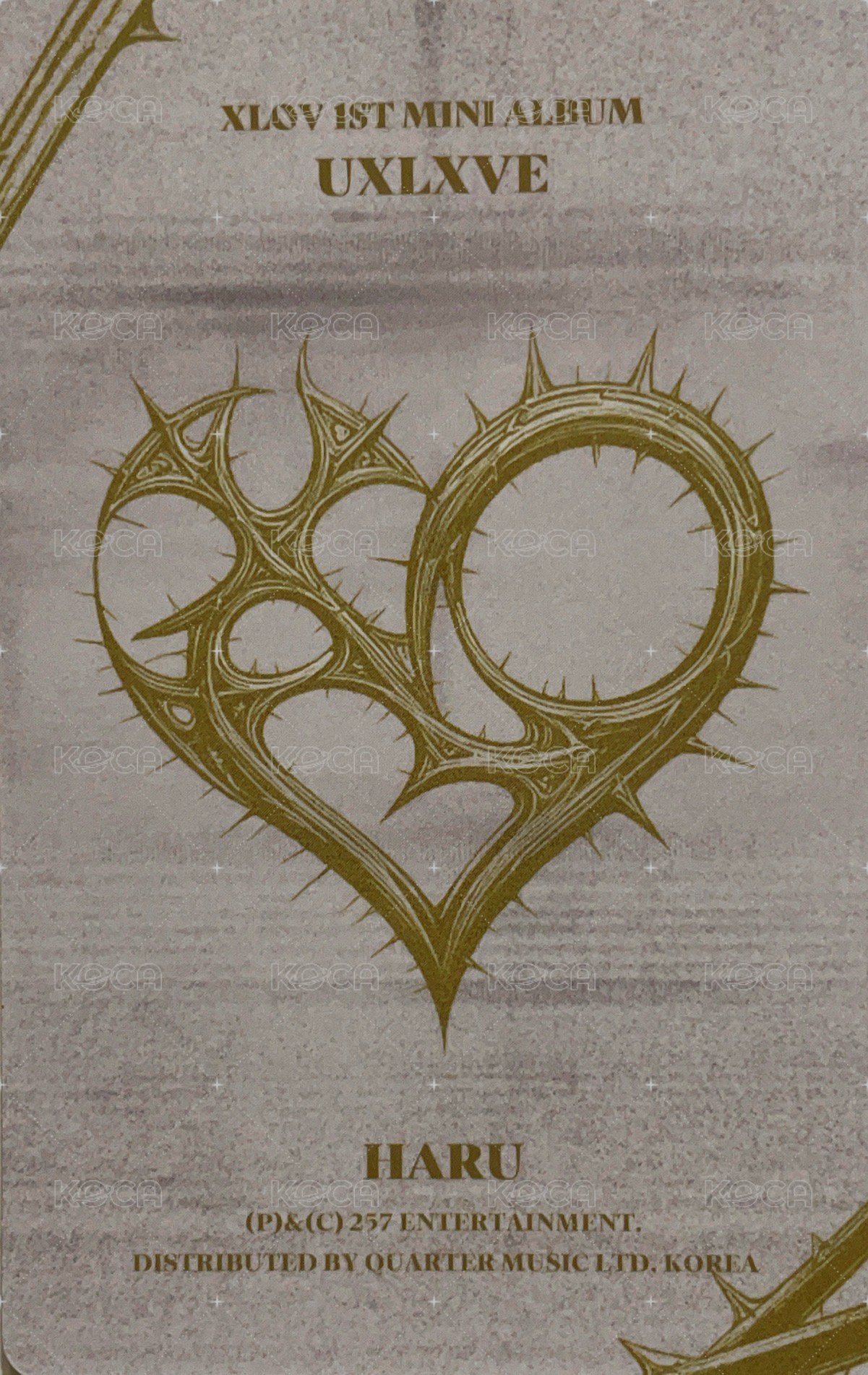 UXLXVE N ver. 專輯卡  背面