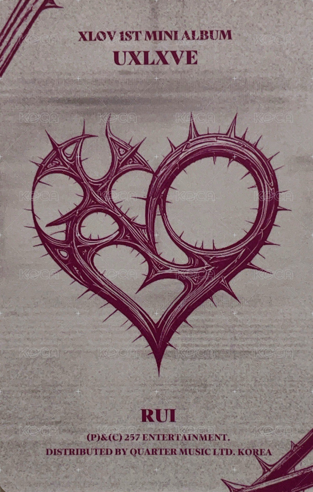 UXLXVE N ver. 專輯卡  背面