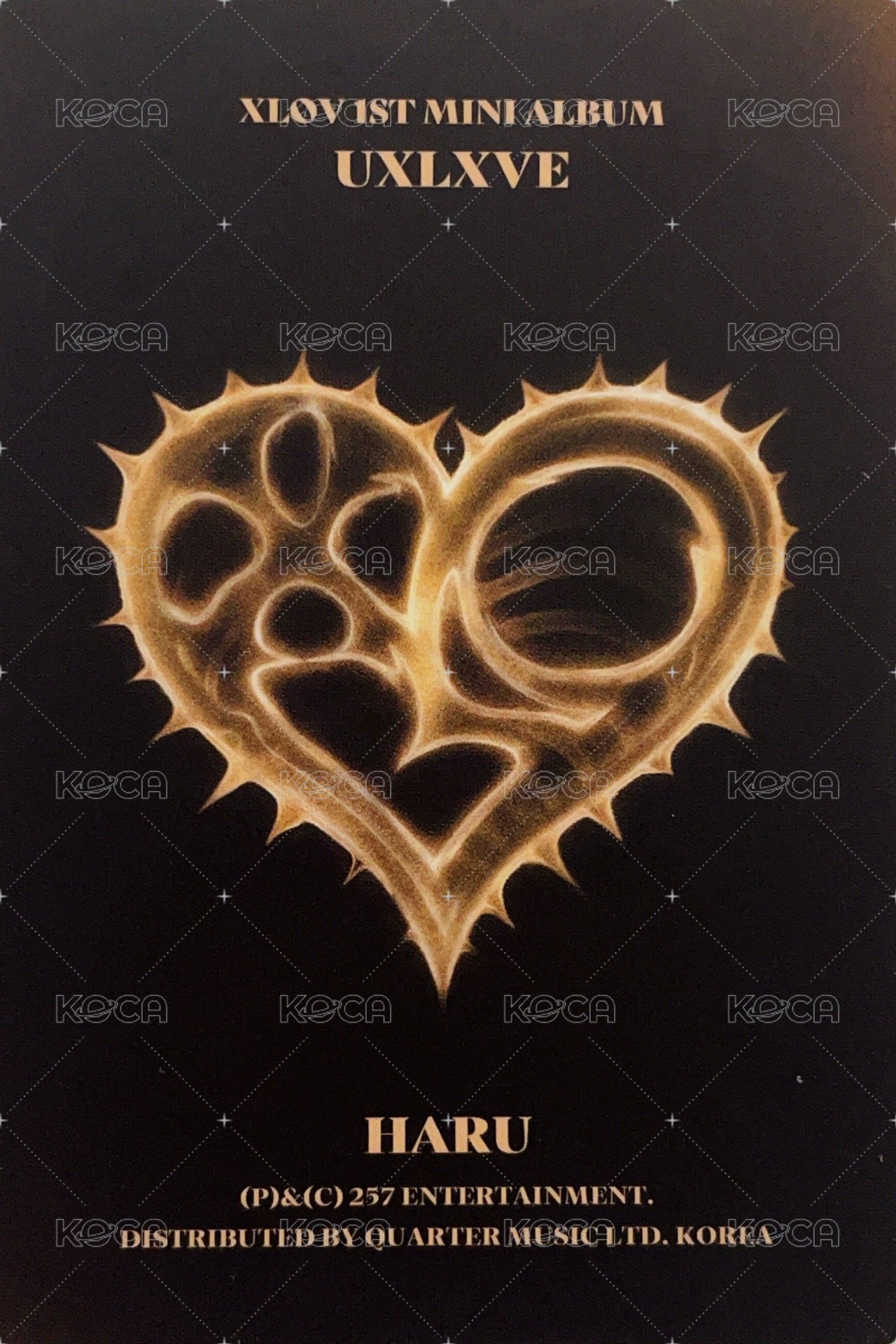 UXLXVE O ver. 專輯卡  背面