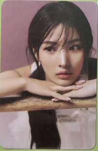 An iron hand in a velvet glove 專輯卡 