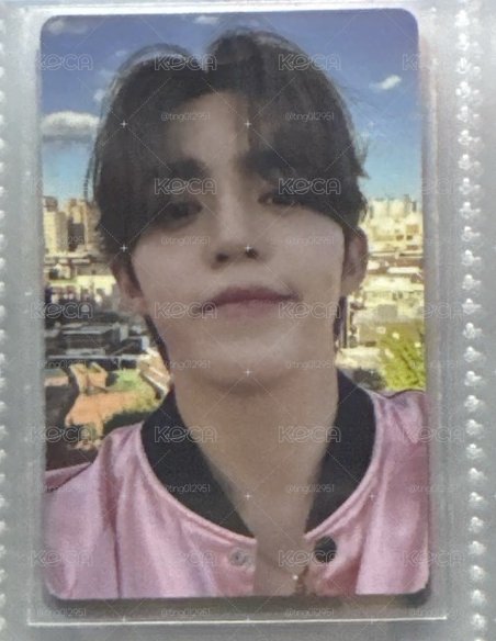 17 S.coups
